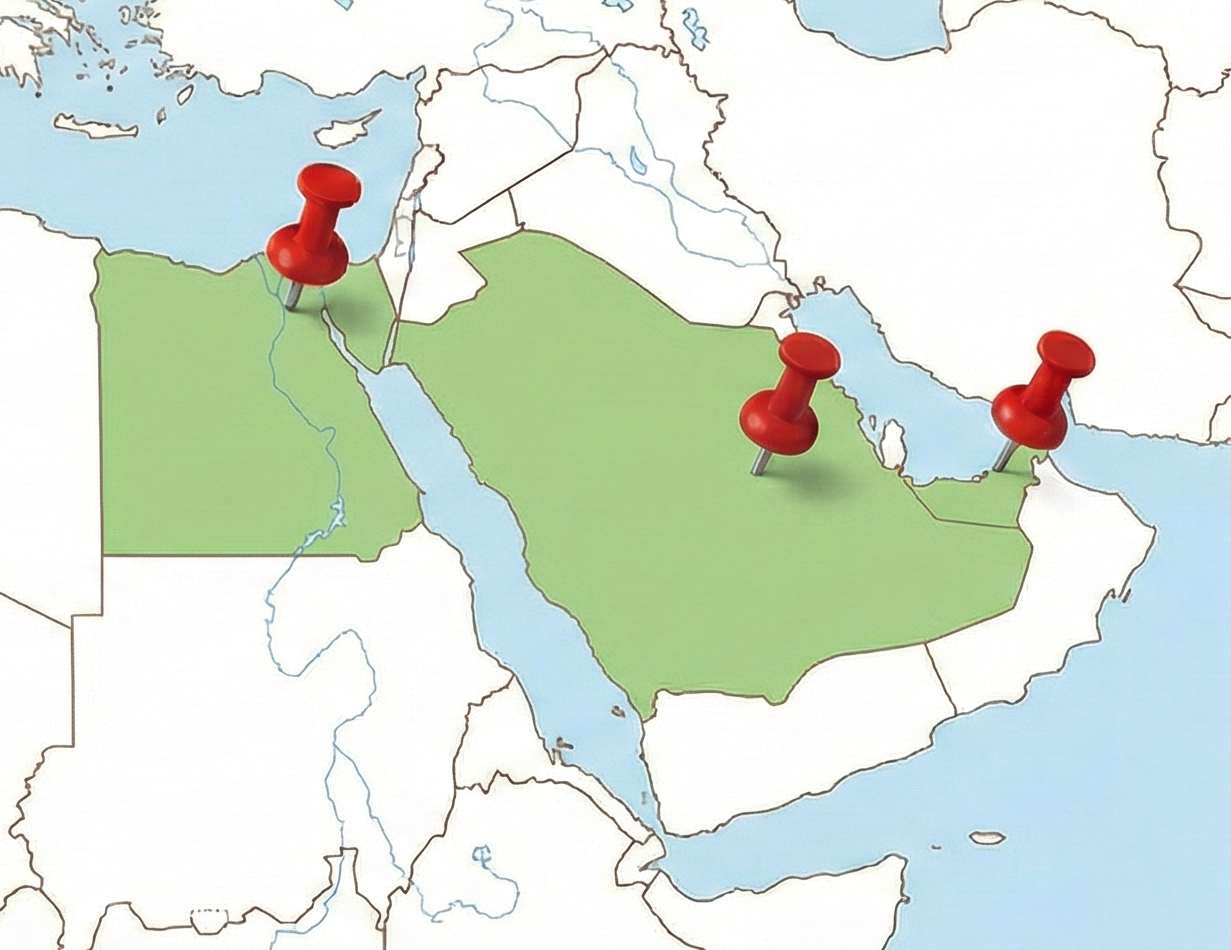 موقع شركة اللدائن العالمية